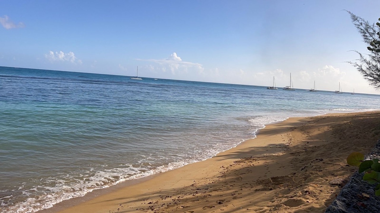 Photo of Others in Las Terrenas