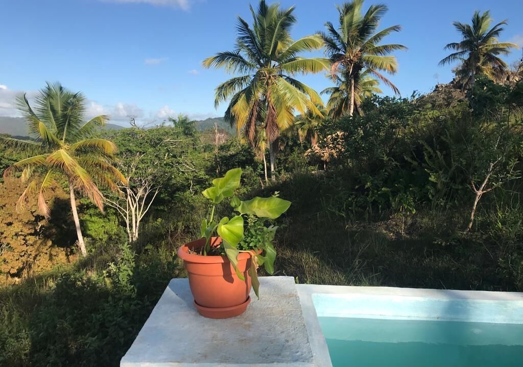 Photo of Outdoor in Puerto Bahia