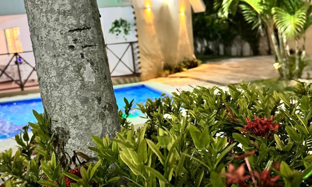 Photo of Outdoor in Quisqueya