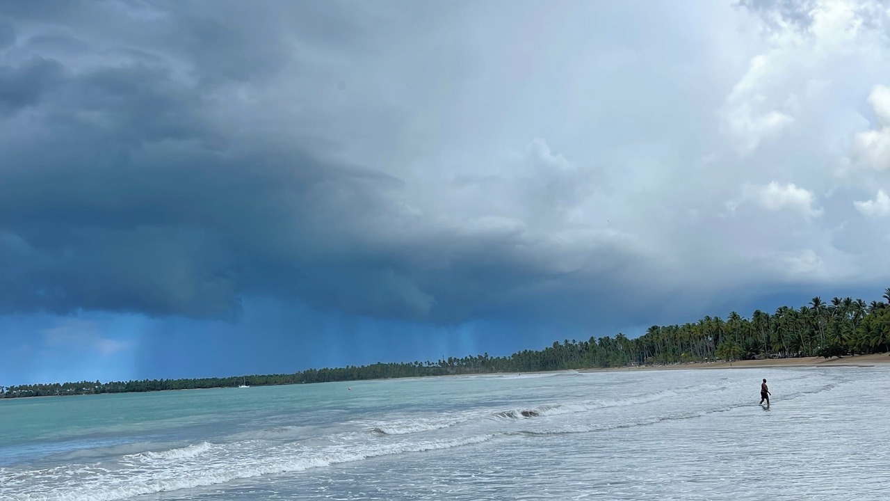 Photo of Others in Puerto Bahia