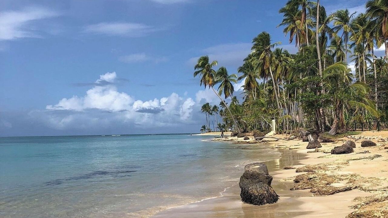 Photo of Others in Puerto Bahia