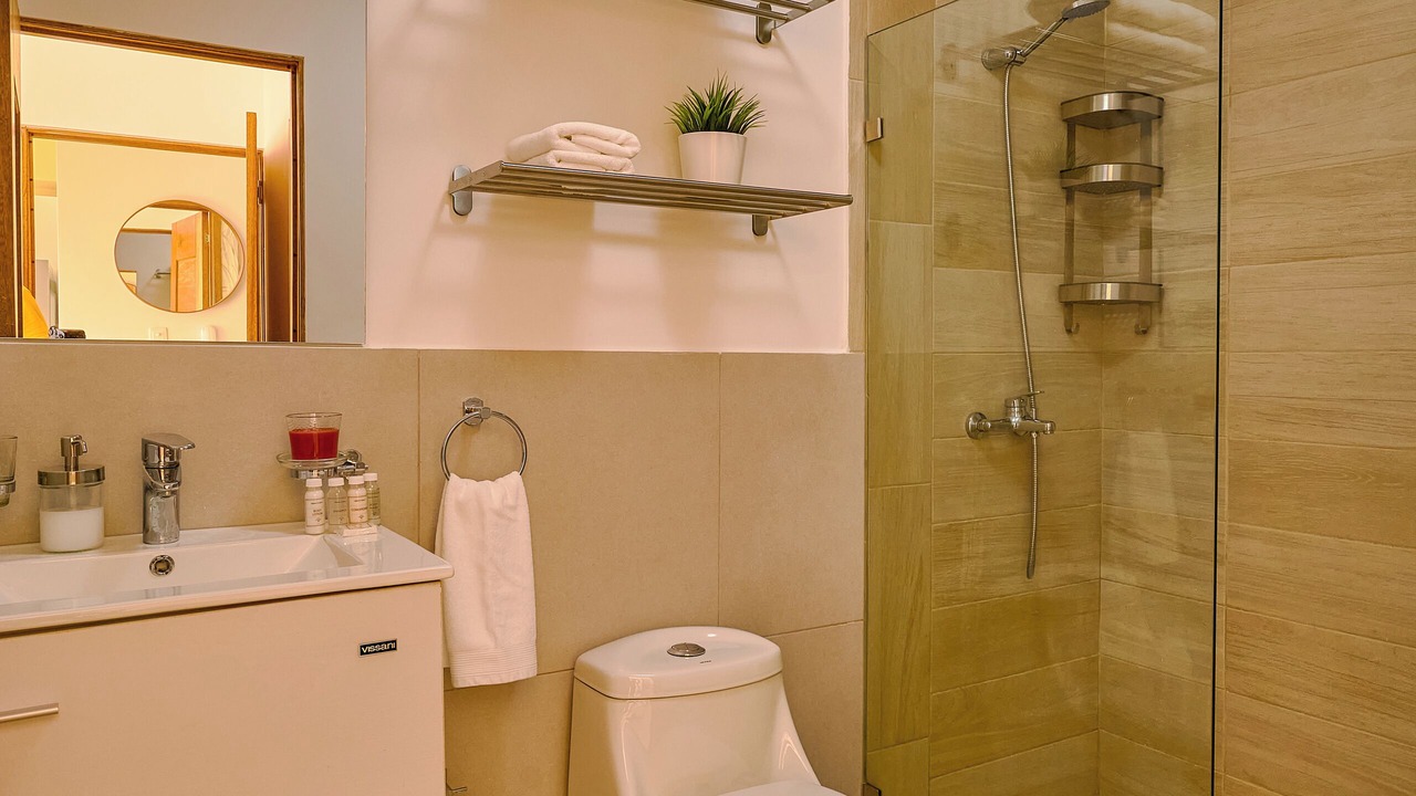 Photo of Bathroom in Quisqueya