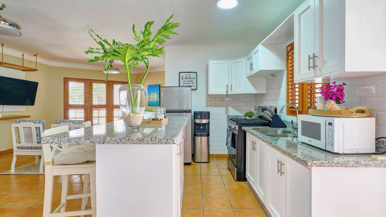 Photo of Kitchen in Caribbean Islands
