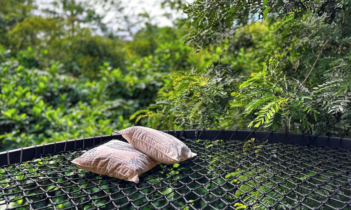 Photo of Outdoor in Abiansemal