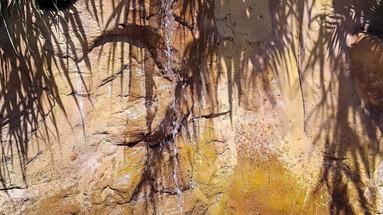 Photo of Outdoor in Punaauia