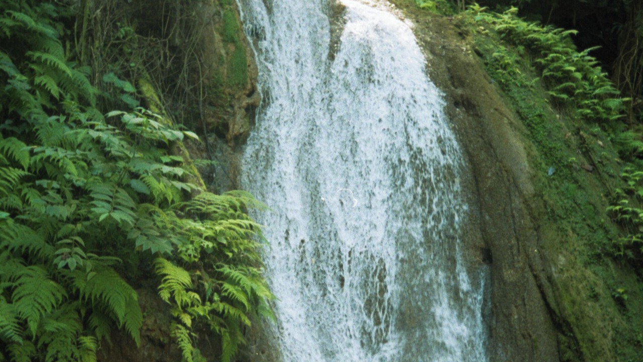 Photo of Outdoor in Samana