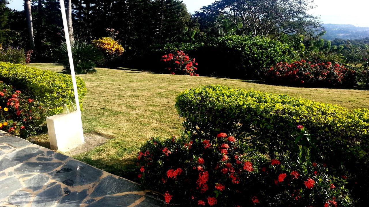 Photo of Outdoor in Puerto Plata