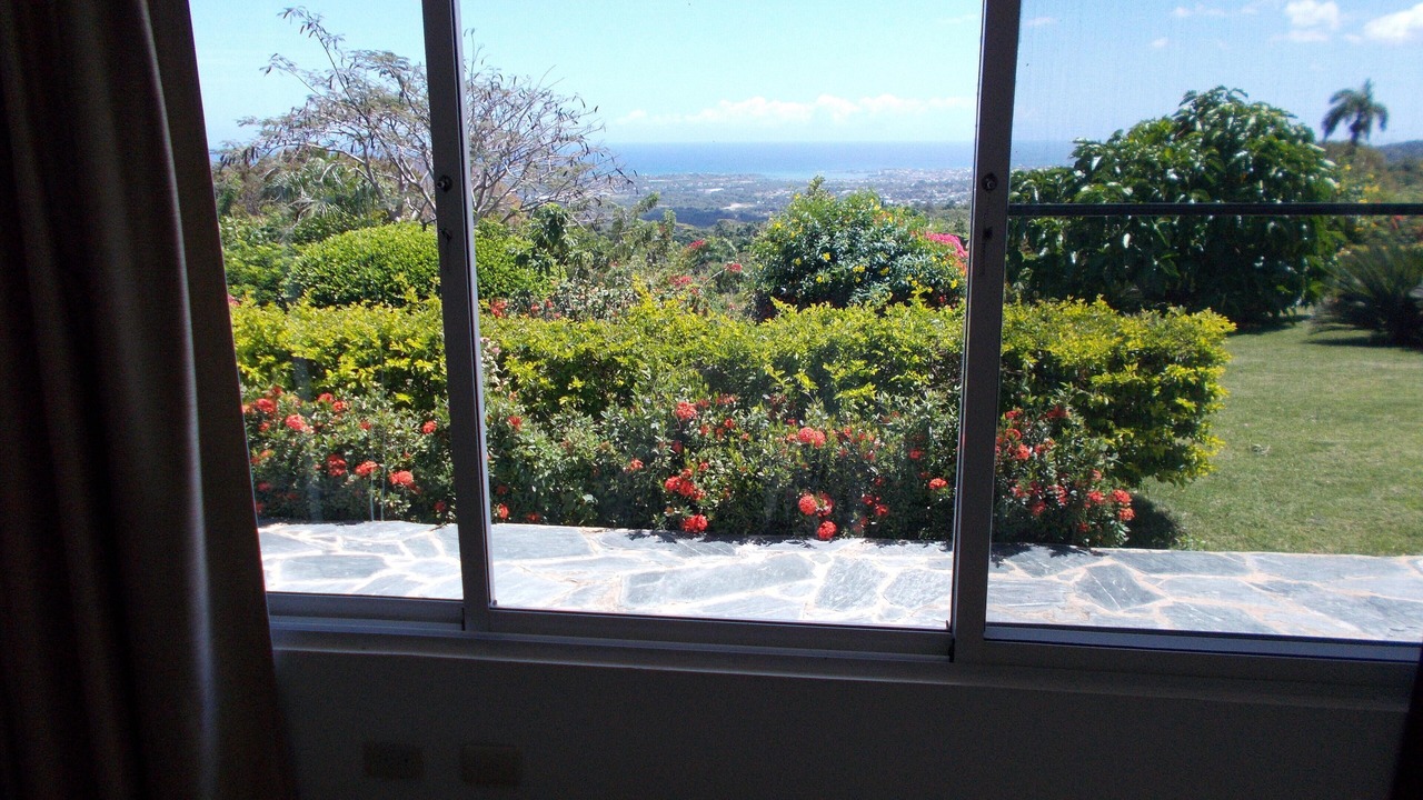 Photo of Others in Puerto Plata