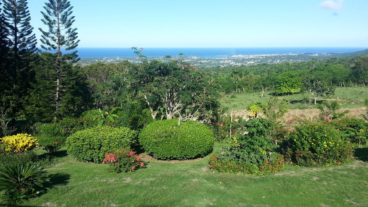Photo of Outdoor in Puerto Plata