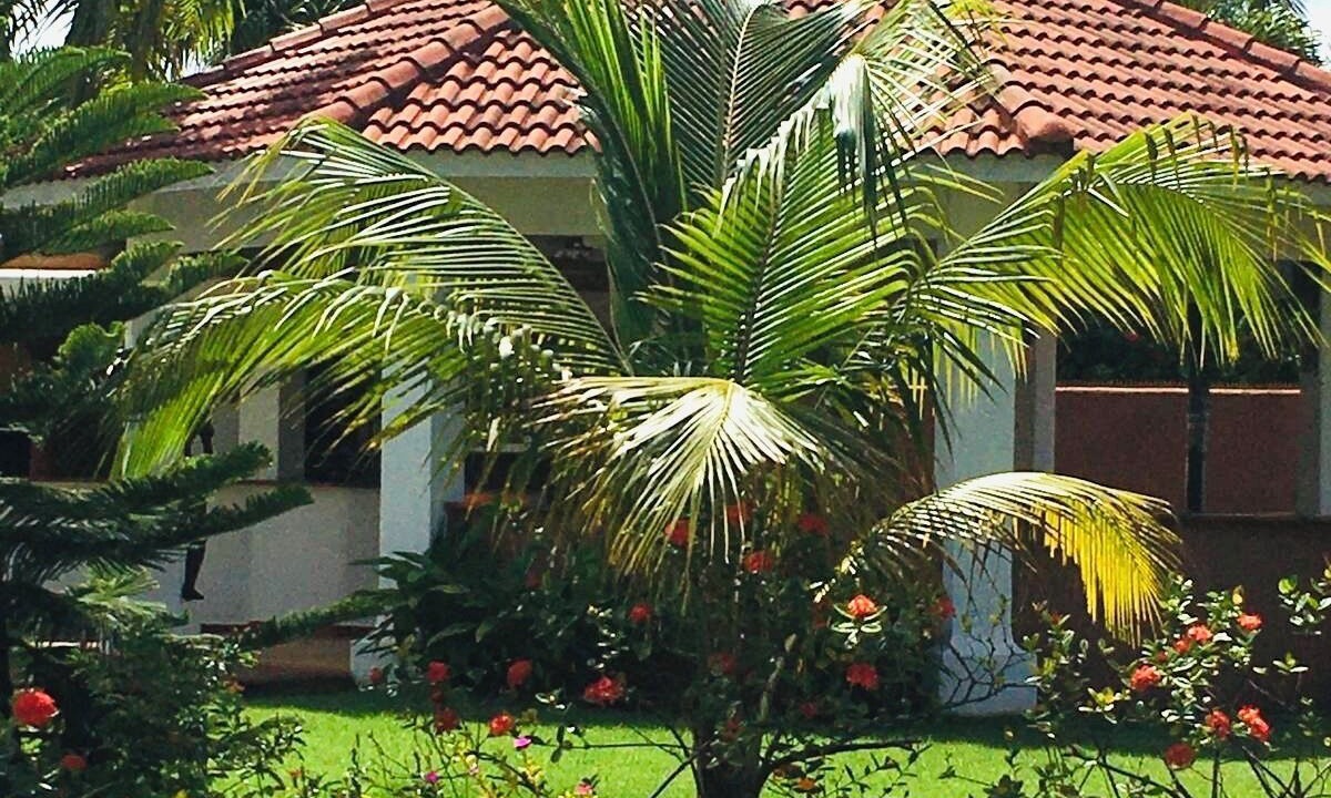 Photo of Outdoor in Las Galeras