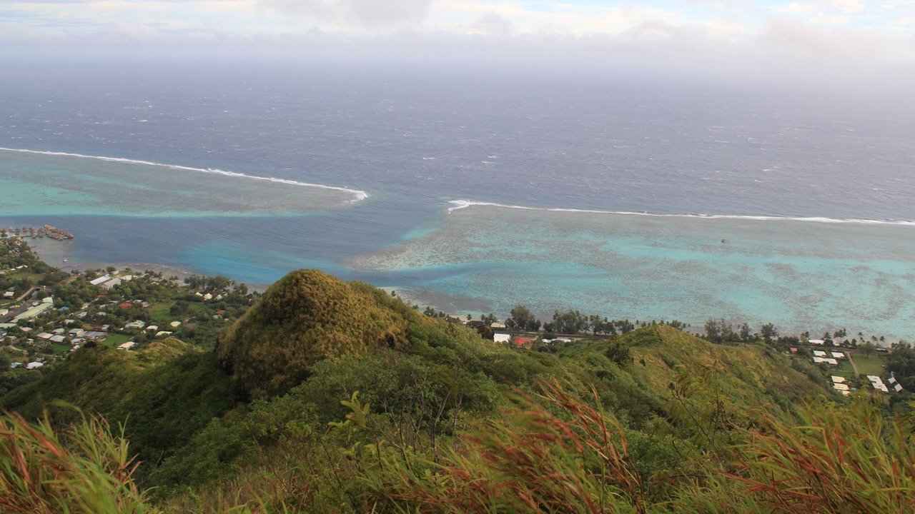 Photo of Others in Otumai