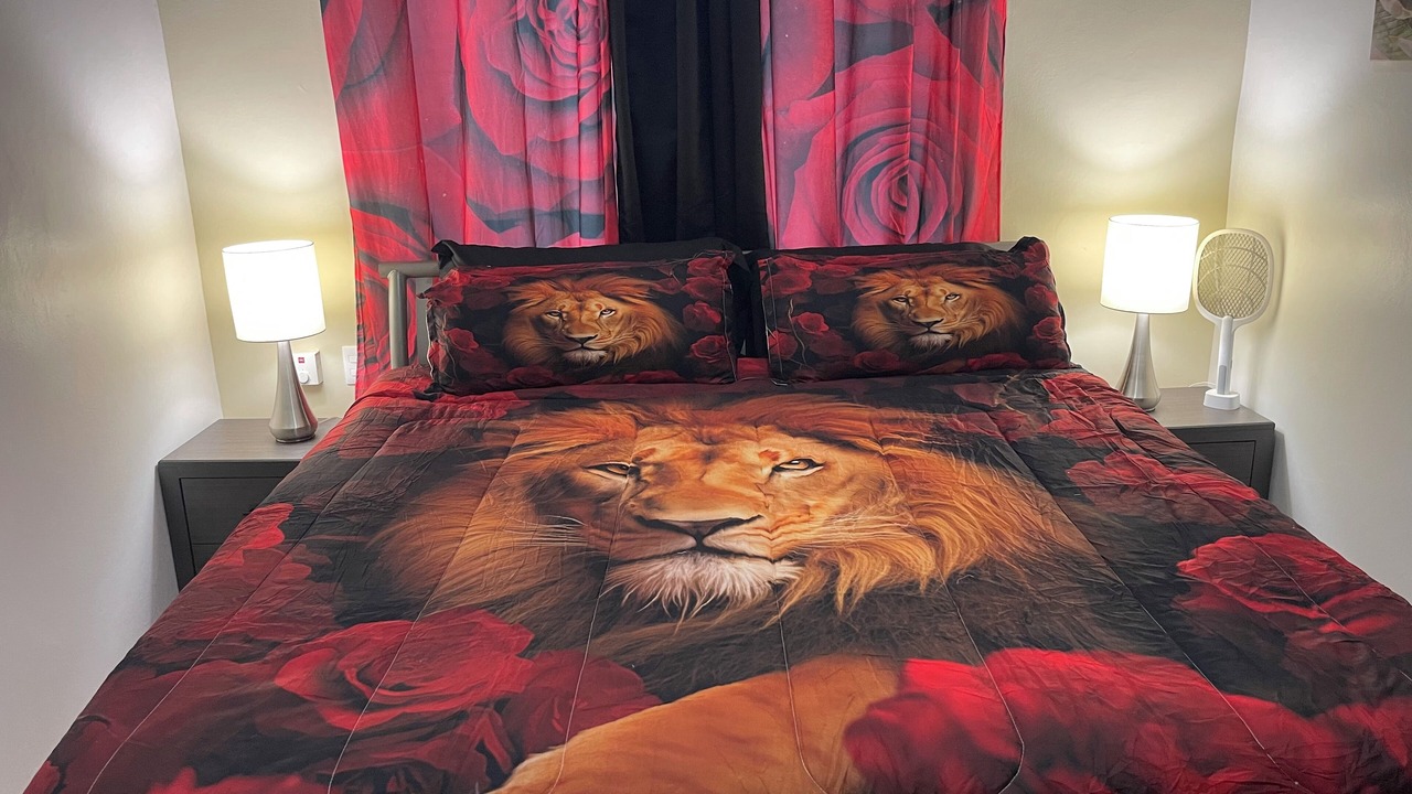 Photo of Bedroom in El Batey