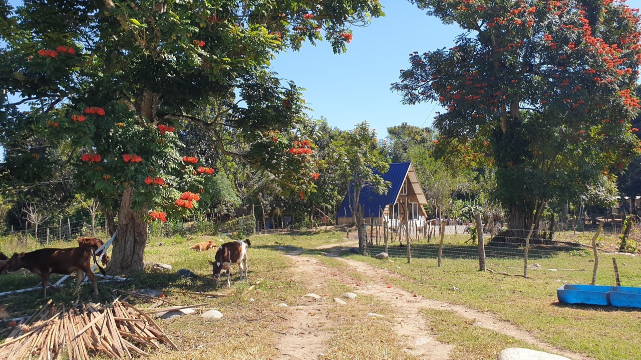 Photo of Others in Jarabacoa