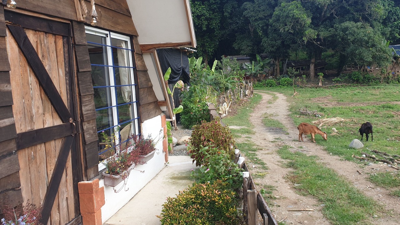 Photo of Others in Jarabacoa