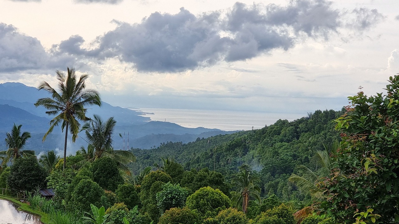 Photo of Outdoor in Munduk