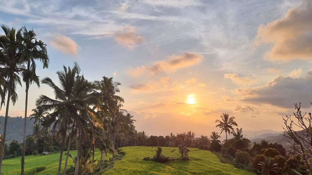 Photo of Outdoor in Munduk