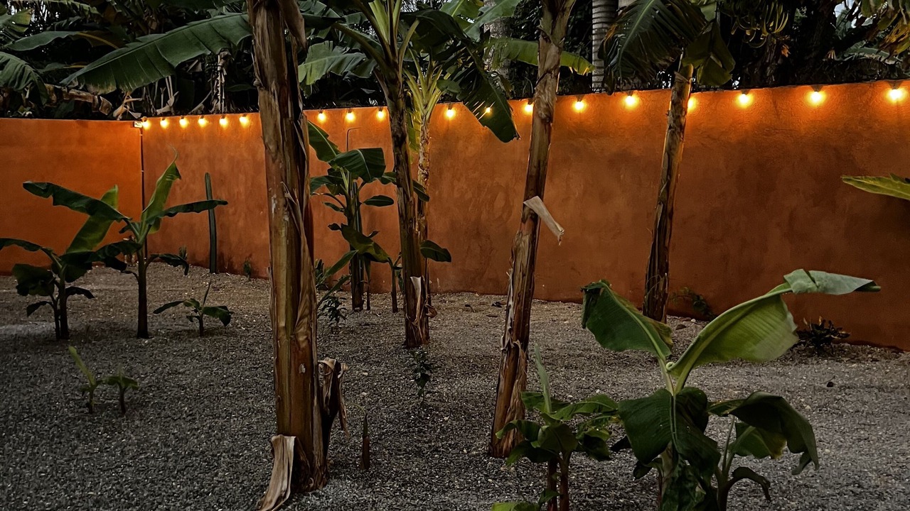 Photo of Outdoor in Las Galeras