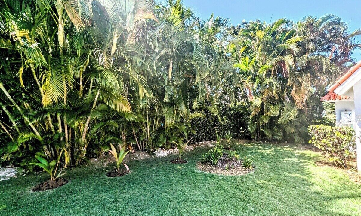 Photo of Outdoor in Sosua