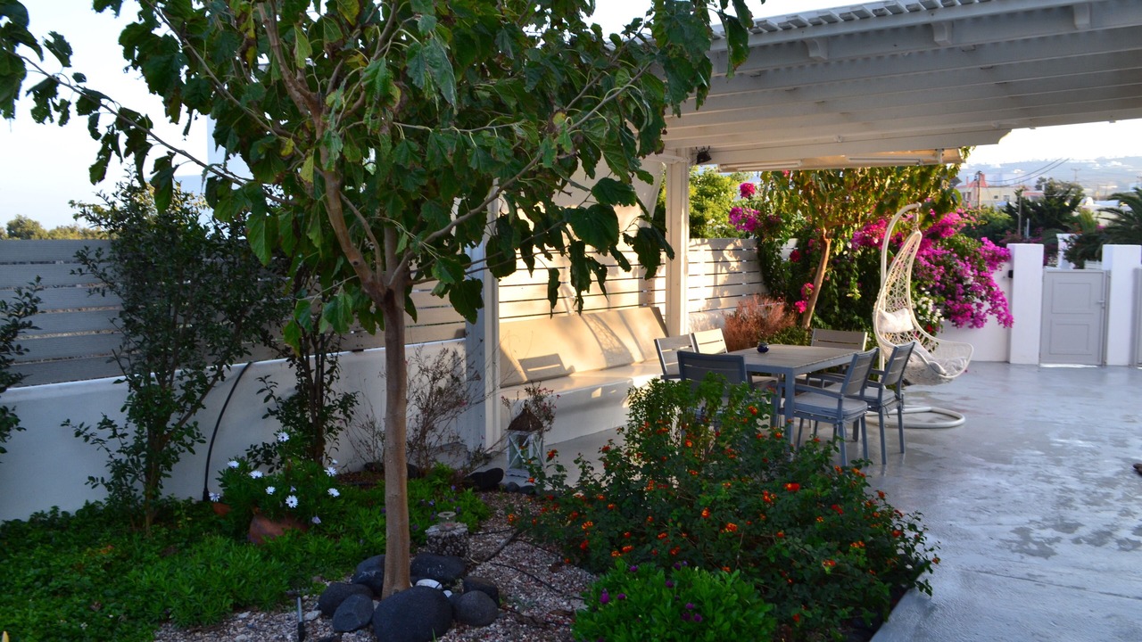 Photo of Outdoor in Messaria
