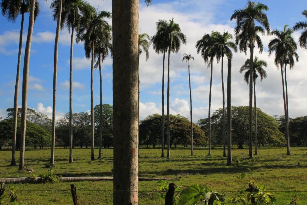 Photo of Outdoor in Pimentel