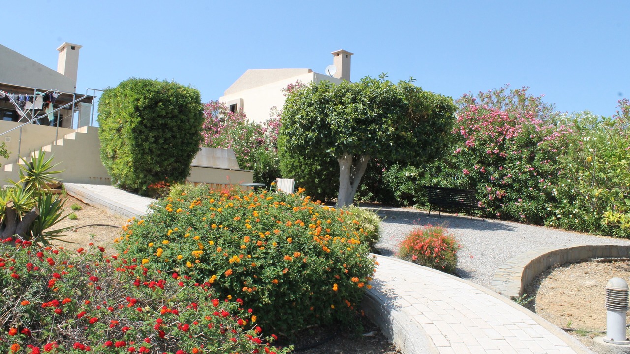 Photo of Outdoor in Lindos