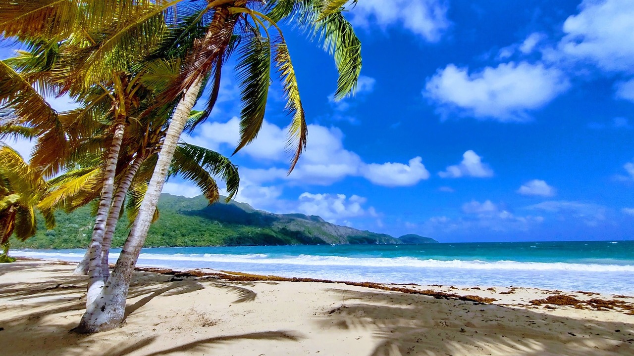 Photo of Others in Las Terrenas
