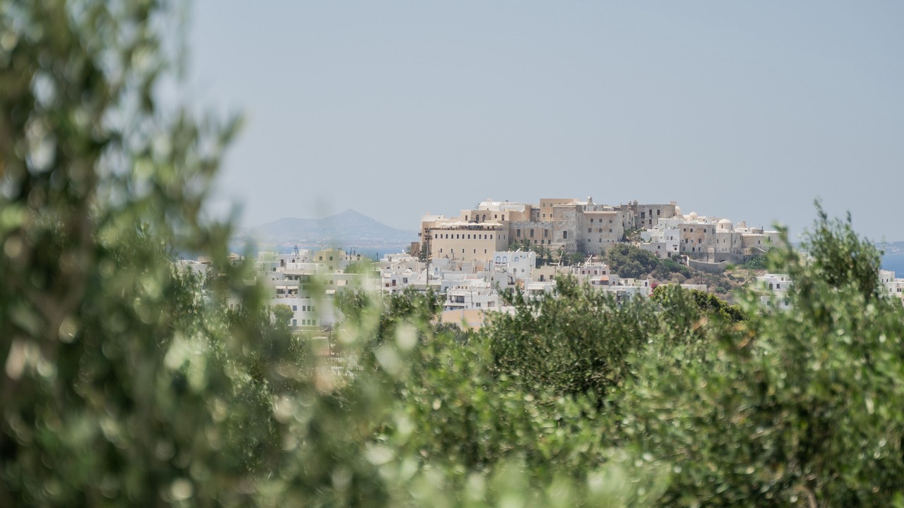 Photo of Others in Naxos Town
