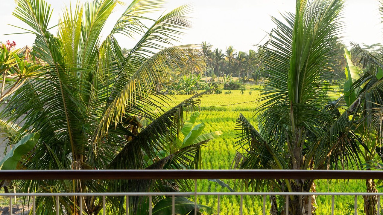 Photo of Outdoor in Kedewatan