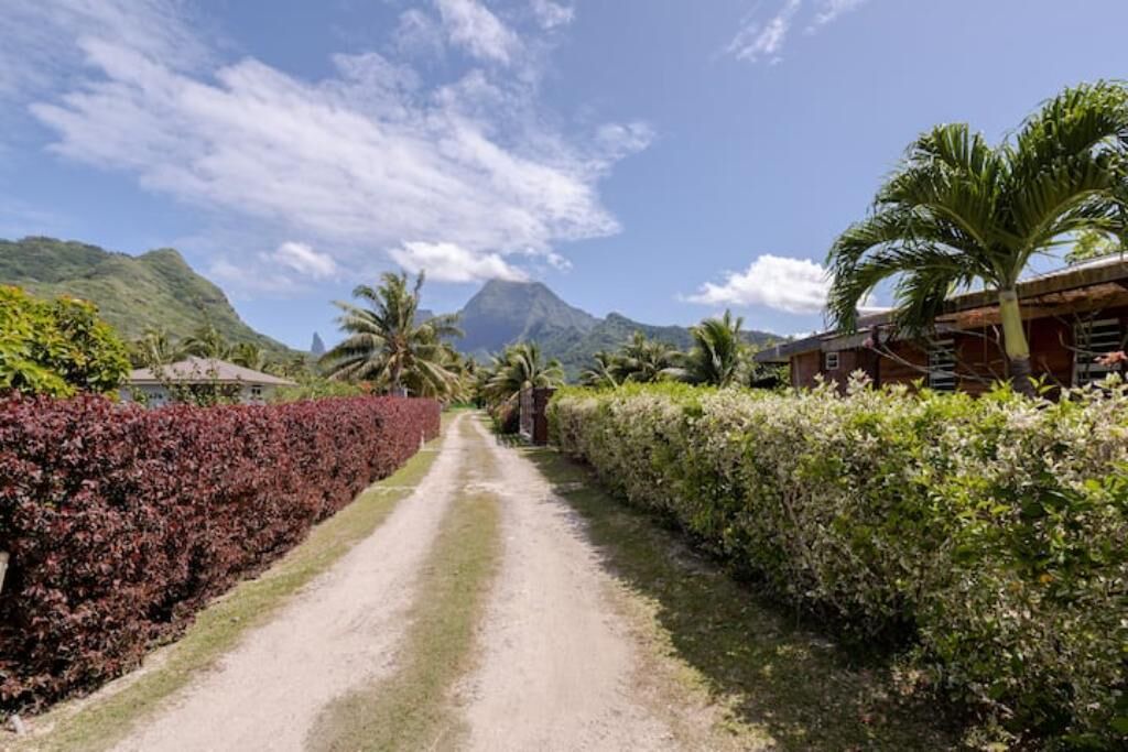 Photo of Outdoor in Moorea-Maiao