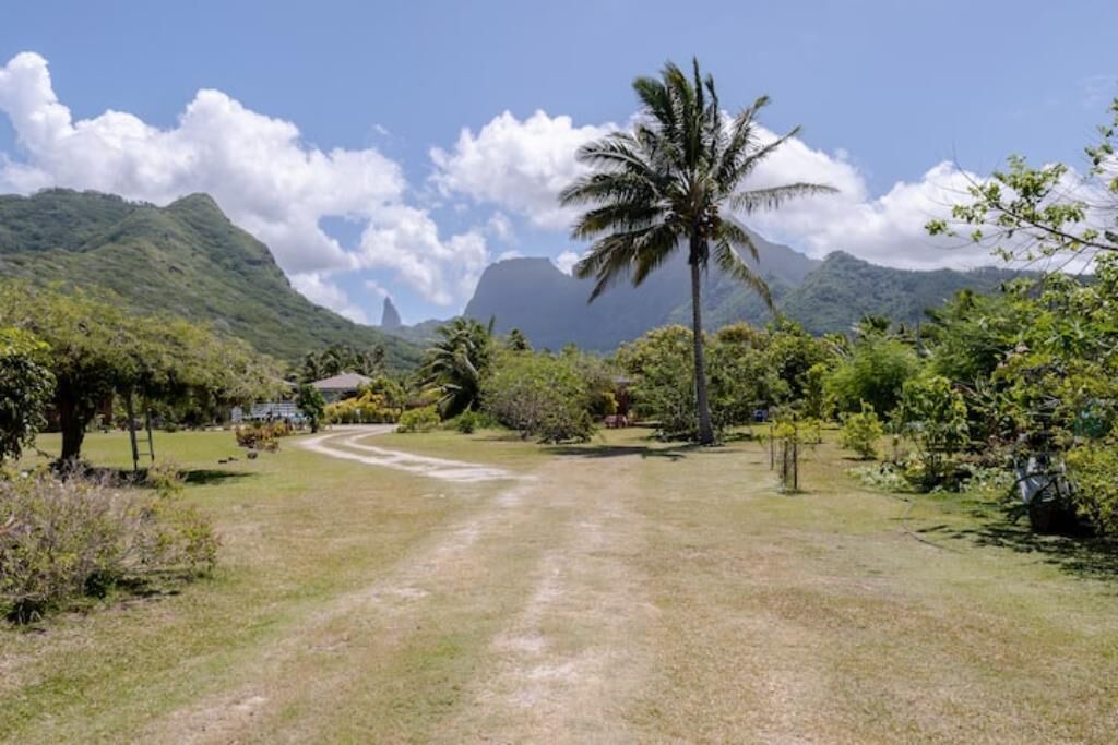 Photo of Outdoor in Moorea-Maiao