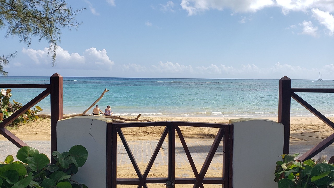 Photo of Others in Puerto Bahia