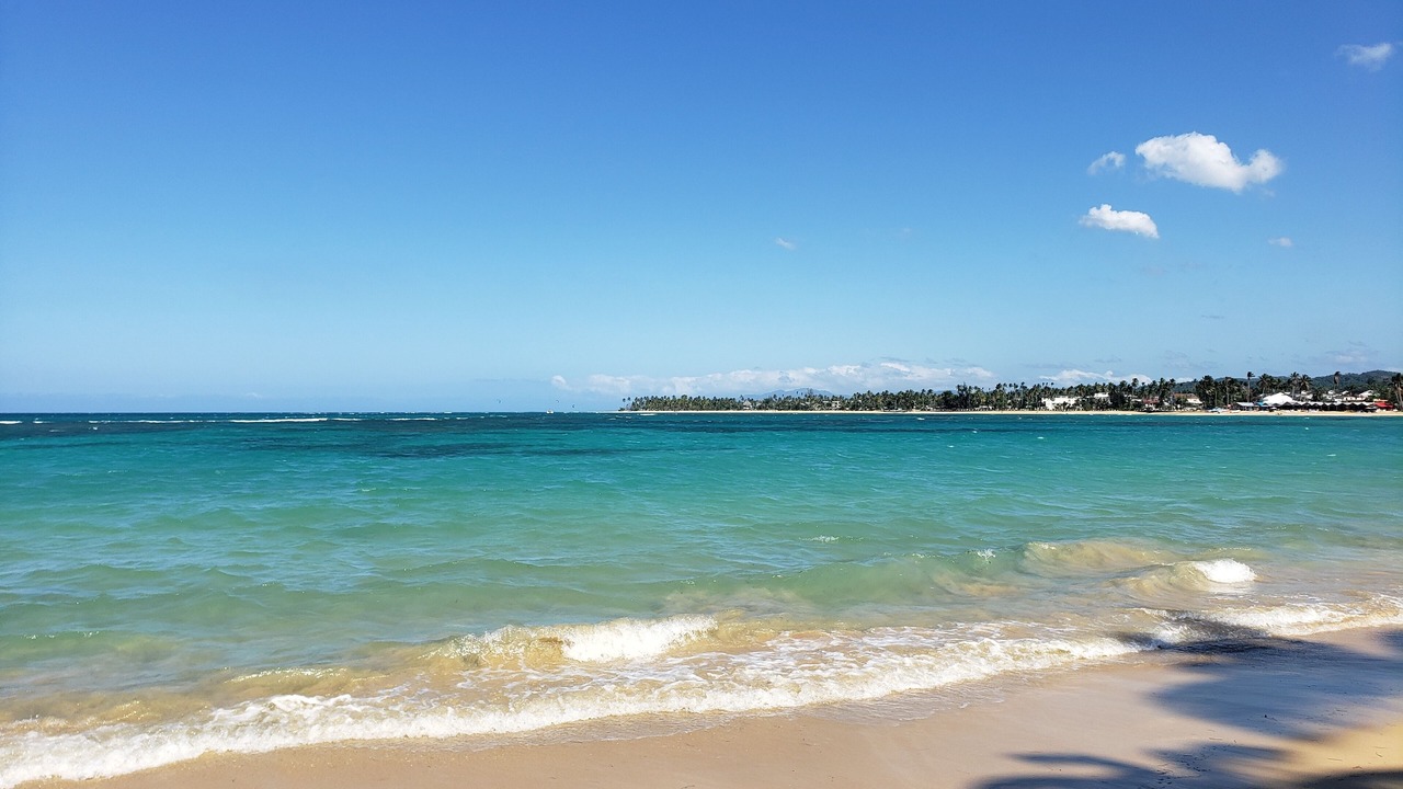 Photo of Others in Puerto Bahia