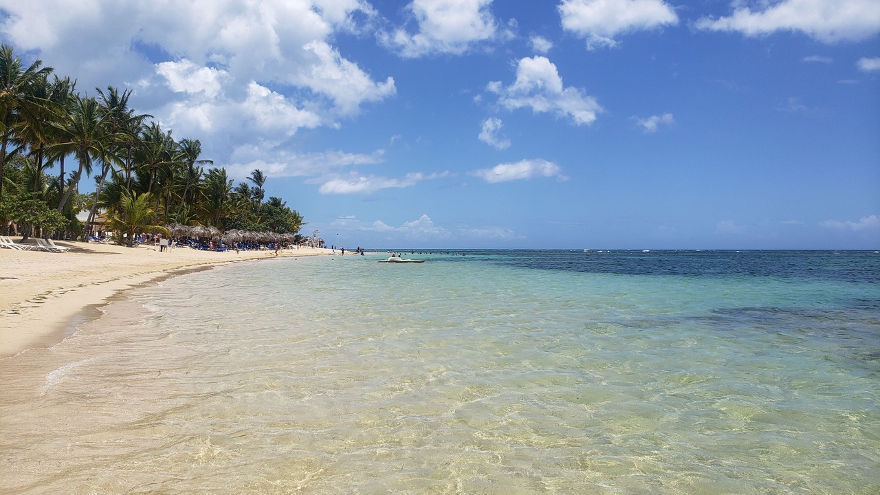 Photo of Others in Puerto Bahia