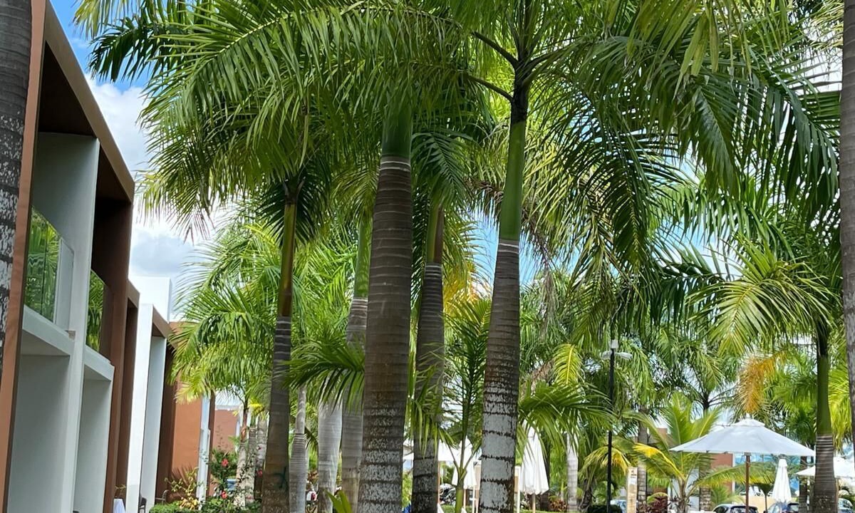 Photo of Outdoor in Boca Chica