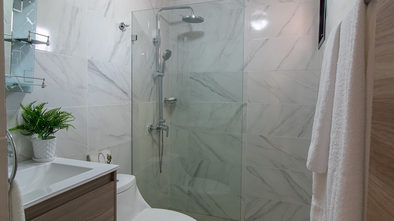 Photo of Bathroom in Santiago Province