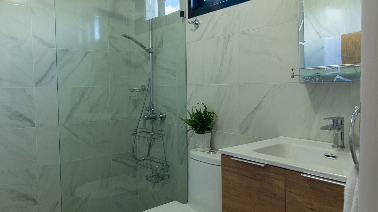 Photo of Bathroom in Santiago Province