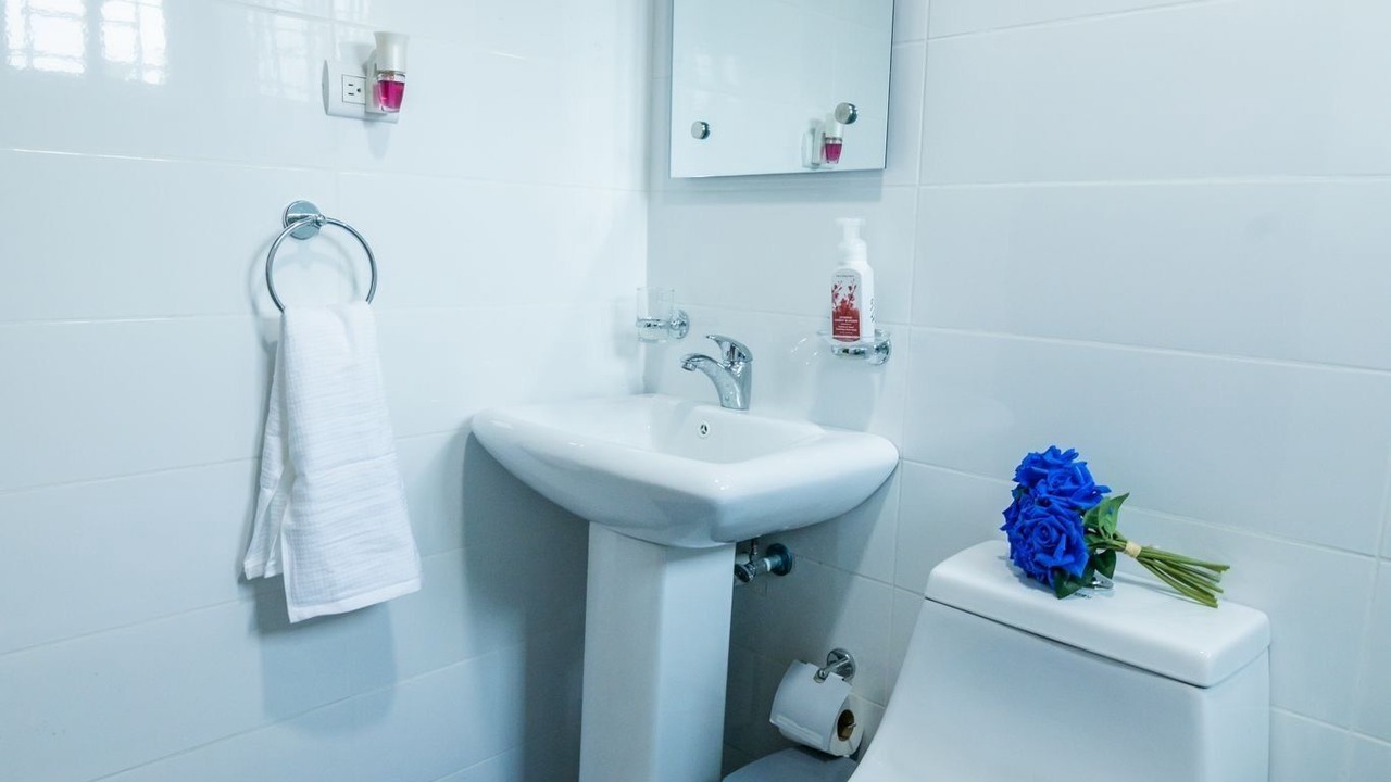 Photo of Bathroom in Llanos de Gurabo I