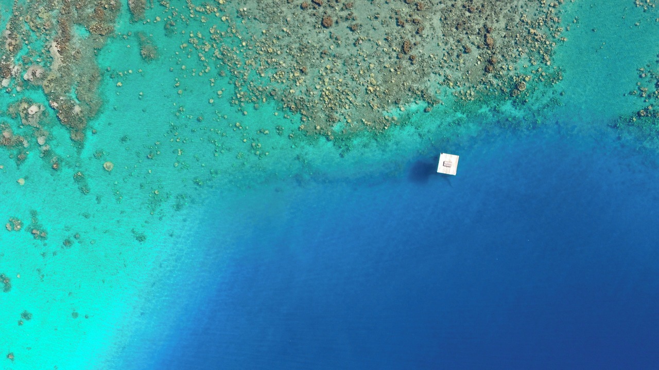 Photo of Outdoor in Teahupo'o
