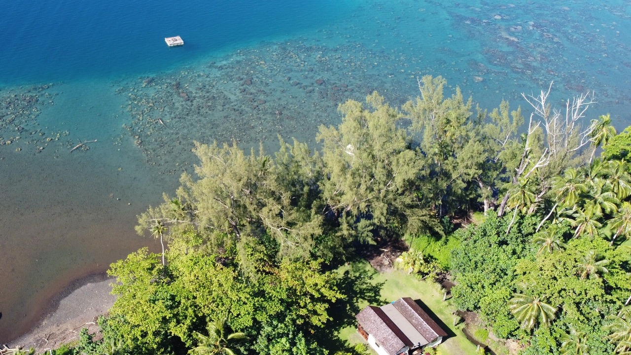 Photo of Outdoor in Teahupo'o