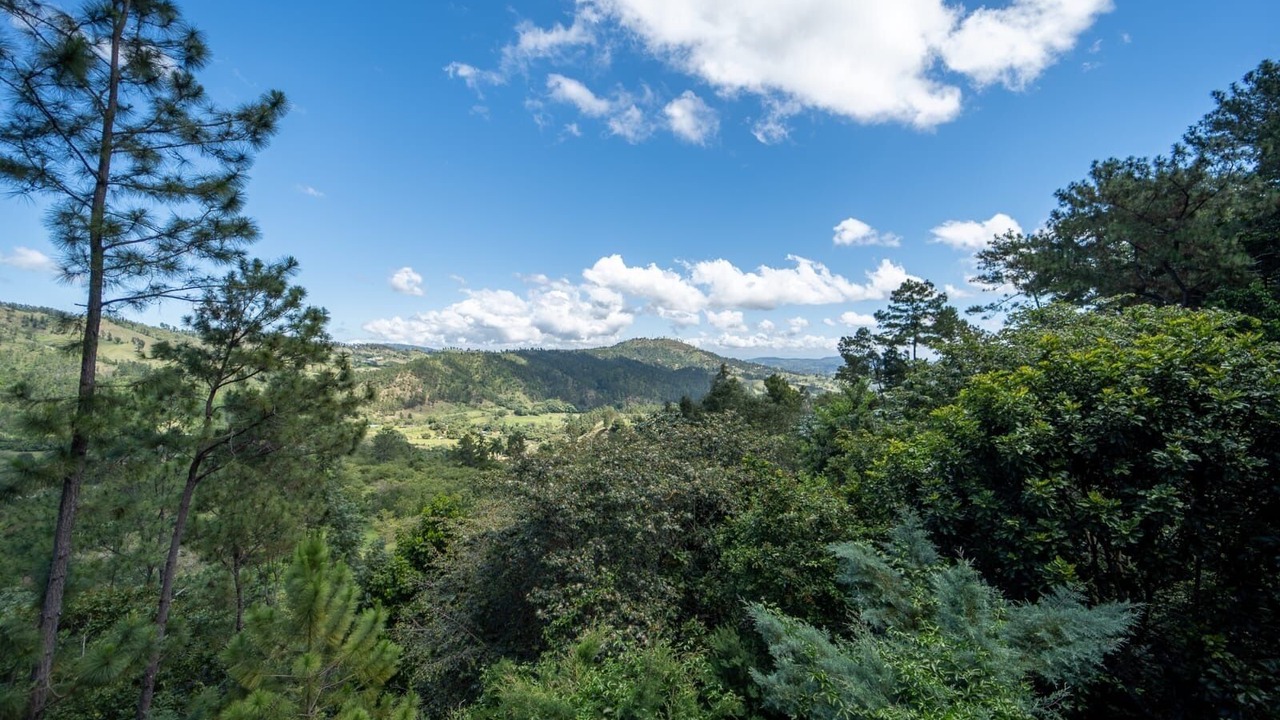 Photo of Others in Jarabacoa