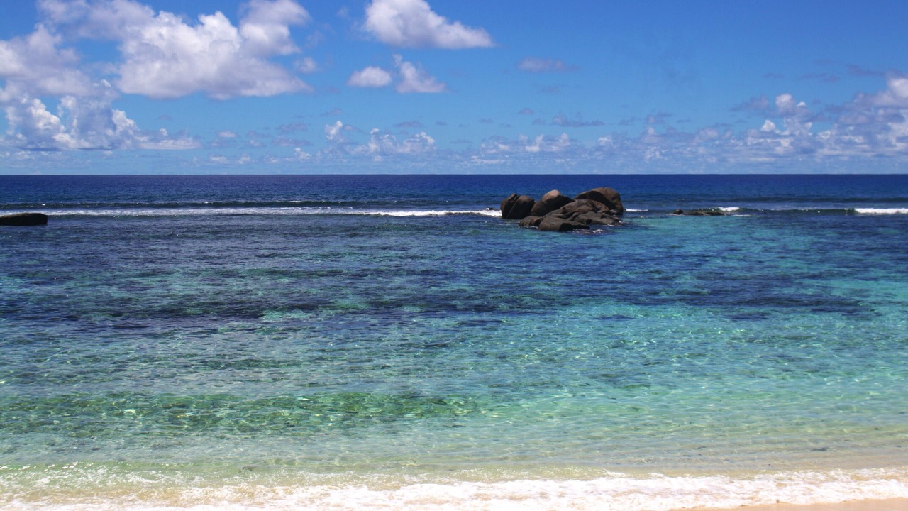 Photo of Others in Anse Forbans