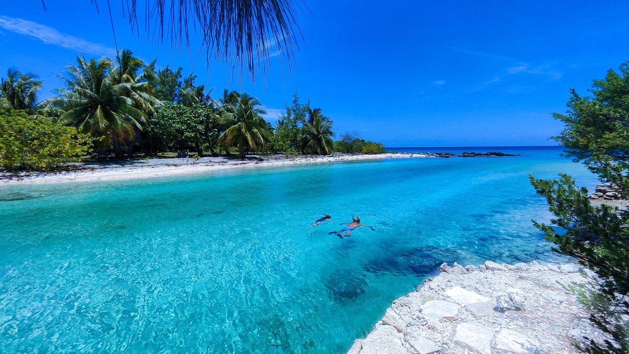 Photo of Others in Rangiroa