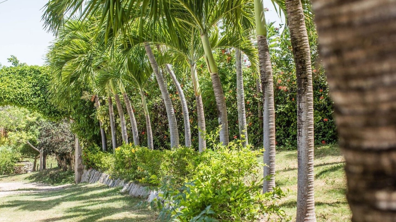 Photo of Outdoor in La Cienaga