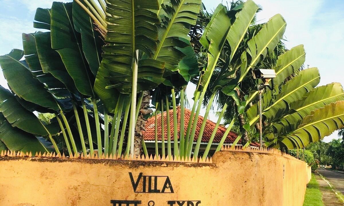 Photo of Outdoor in Las Galeras