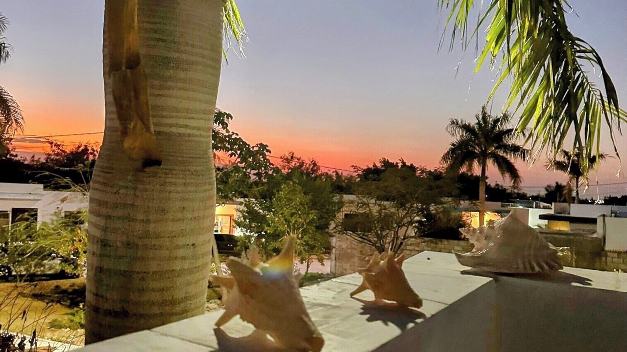 Photo of Outdoor in Veron