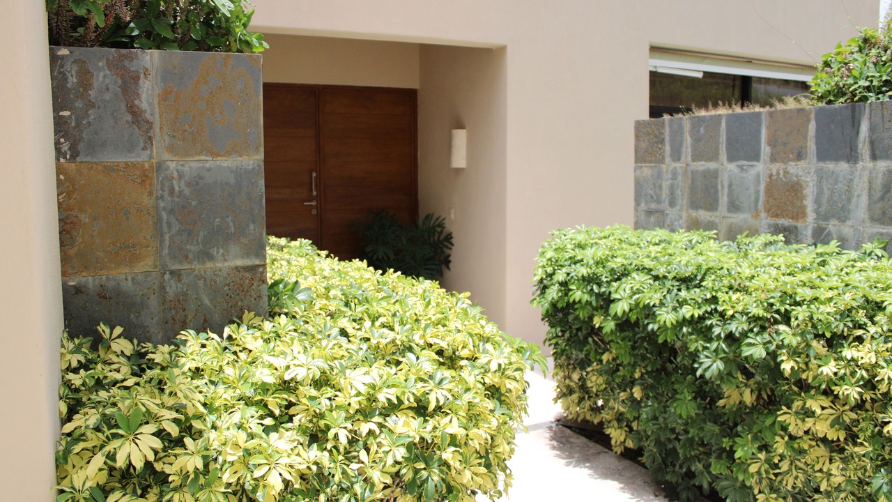 Photo of Outdoor in Guayacanes