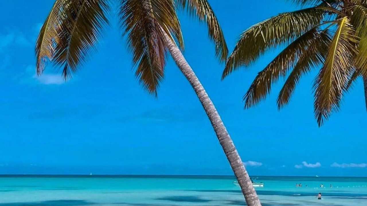 Photo of Others in Las Terrenas