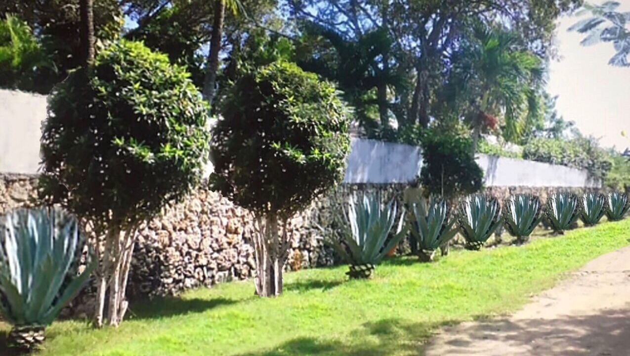 Photo of Outdoor in Guayacanes