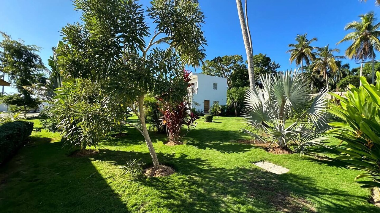 Photo of Outdoor in Sanchez