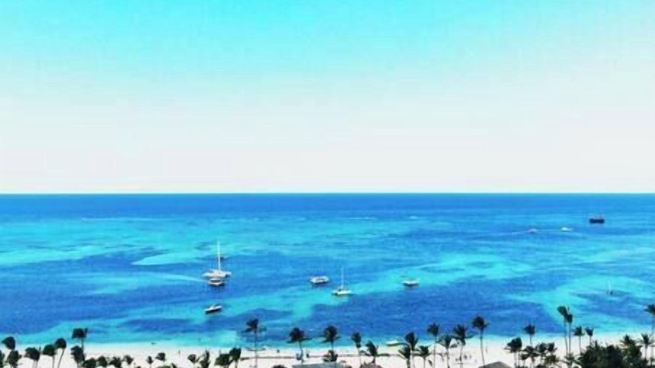 Photo of Others in Playa Bibijagua